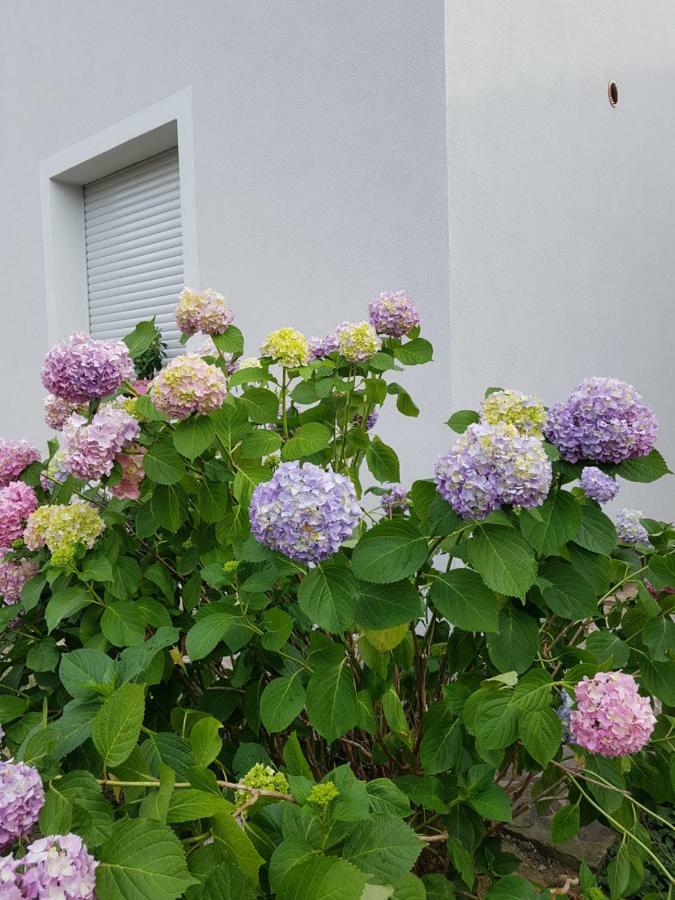 B&B Buscemi Pistoia Exterior photo